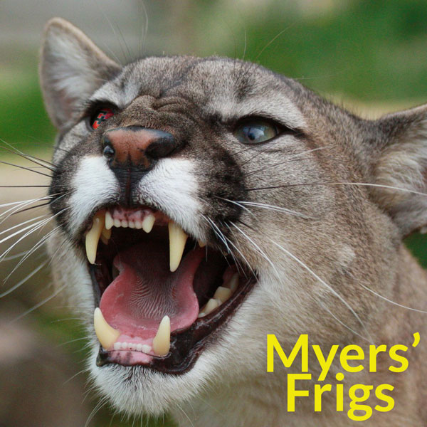 Myers' Frigs