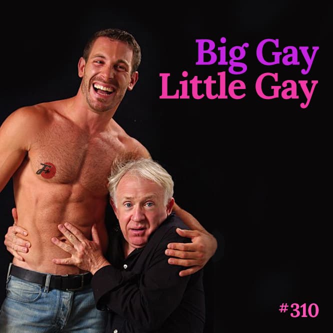 episode 310 : Big Gay, Little Gay