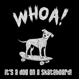 WOAH! It's a dog on a skateboard!