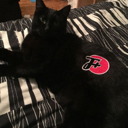 patch on cat